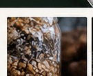 Cultivated grain