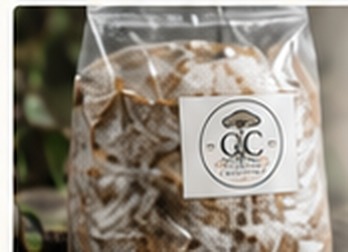 Colonized mushroom grow bag