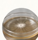 Agar